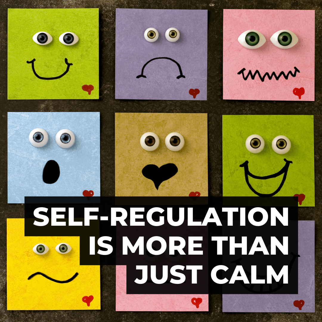 Embracing the Full Spectrum: Self-Regulation is More Than Just Calm